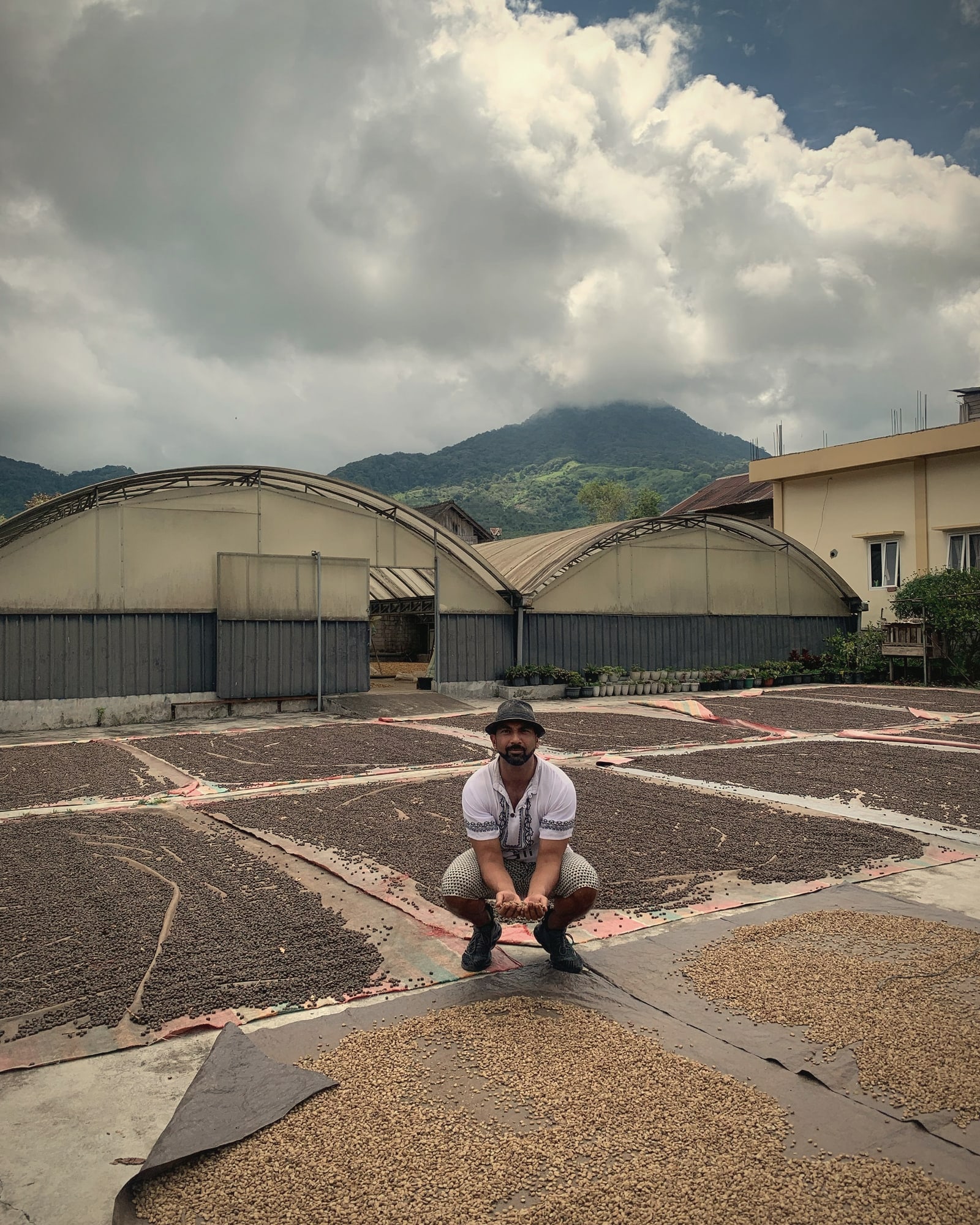 Gayo Wild's founder crouched on the drying yard in the Gayo Highlands, holding a handful of coffee